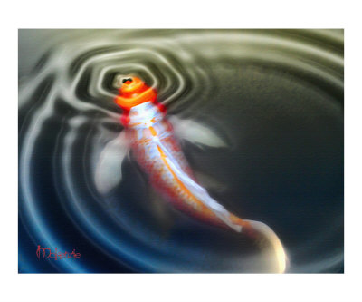 400x333 Koi Fish Drawings - Realistic Koi Drawing