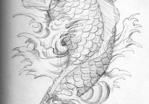 300x210 koi fish drawings realistic realistic koi drawings images - Realistic Koi Drawing