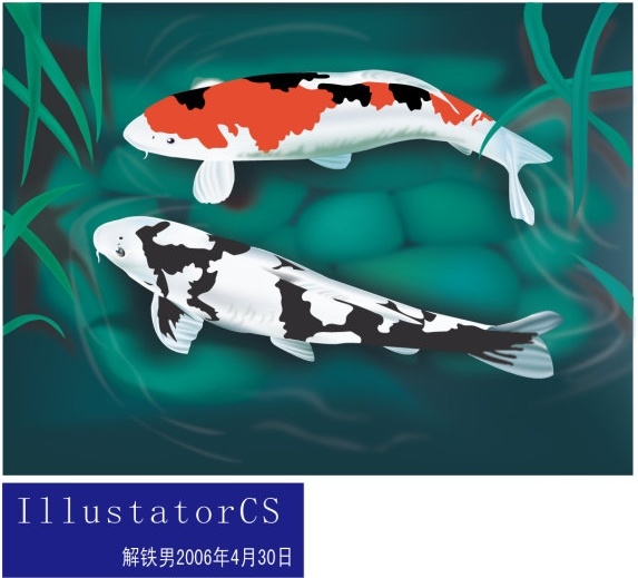 573x519 Koi Fishes Drawing Colorful Ornament Realistic Style Free Vector - Realistic Koi Drawing