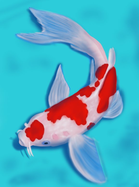 577x778 Learn How To Draw A Koi Fish - Realistic Koi Drawing