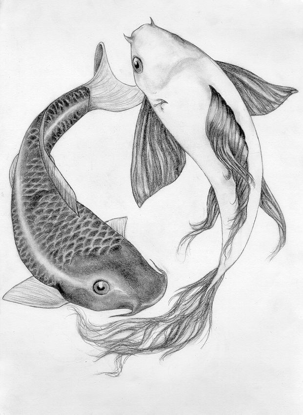 621x851 Tattoo Fantasies Koi Fish Drawing - Realistic Koi Drawing