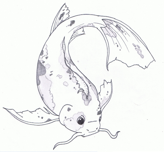 573x530  - Realistic Koi Drawing