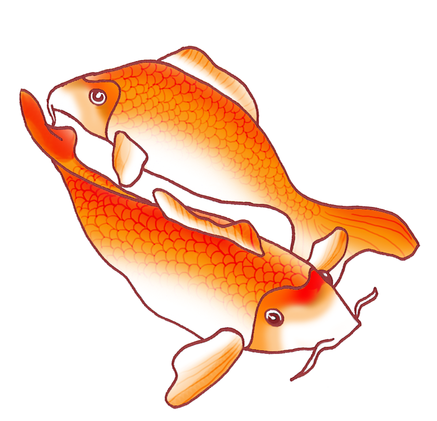 886x854 Collection Of Free Drawing Realistic Fish Download On Ui Ex - Realistic Koi Drawing