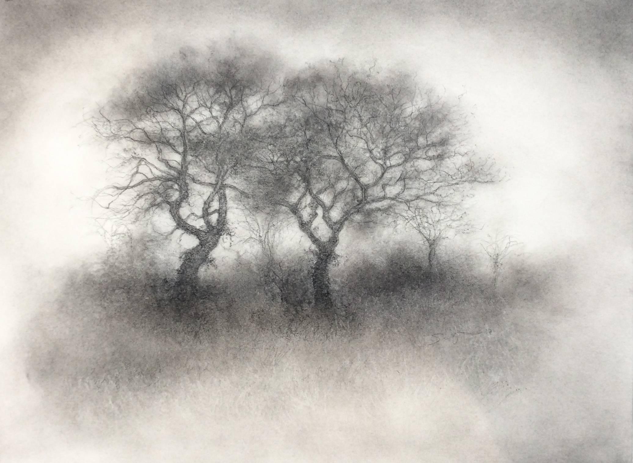 2072x1516 Sue Bryan - Realistic Landscape Drawings