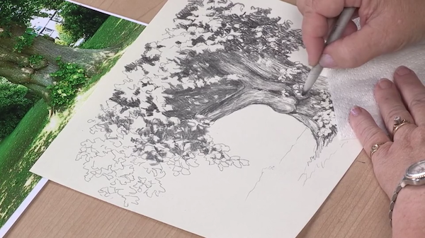 600x336 ways to spruce up your landscape pencil drawings! - Realistic Landscape Drawings