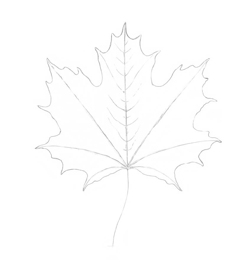 850x935 How To Draw A Leaf Step - Realistic Leaf Drawing