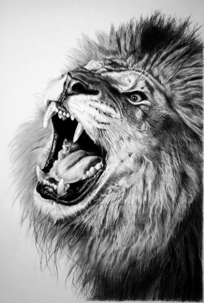 Realistic Lion Face Drawing