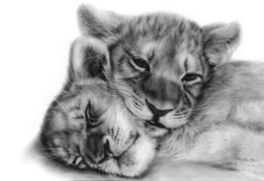 375x258 lion cubs painting - Realistic Lion Drawing
