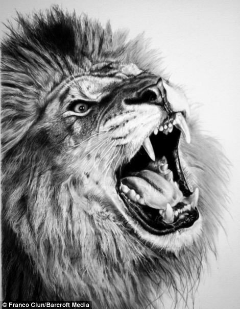 470x606 Beautiful And Realistic Animal Sketches For Your Inspiration - Realistic Lion Drawing