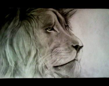 375x294 Realistic Lion Drawing - Realistic Lion Drawing