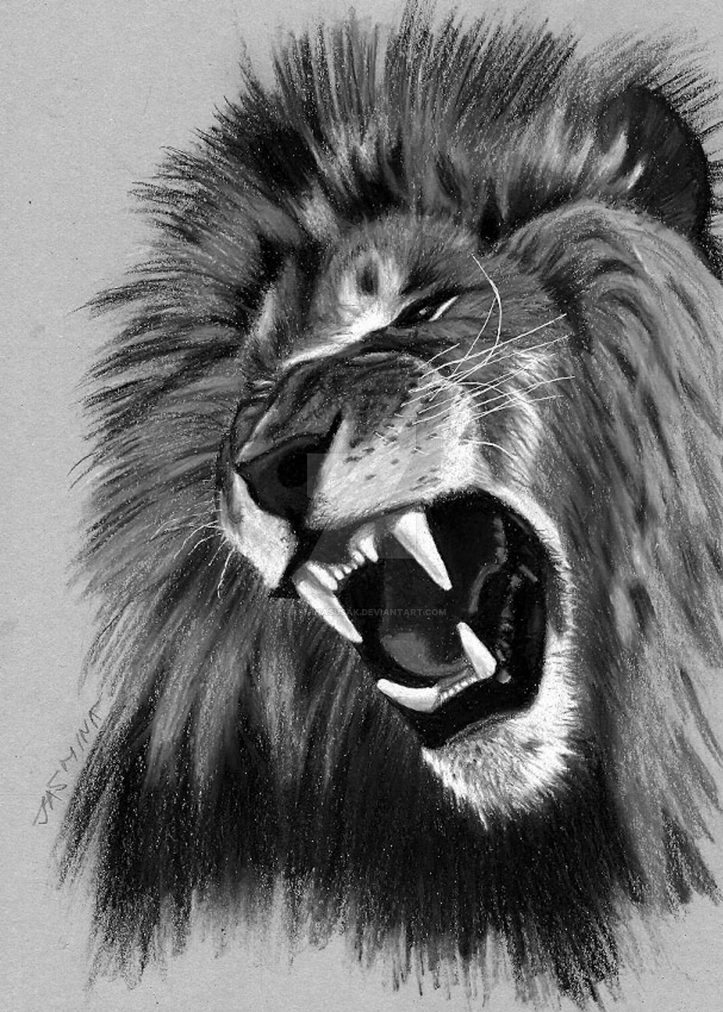 Realistic Lion Drawing at Explore collection of