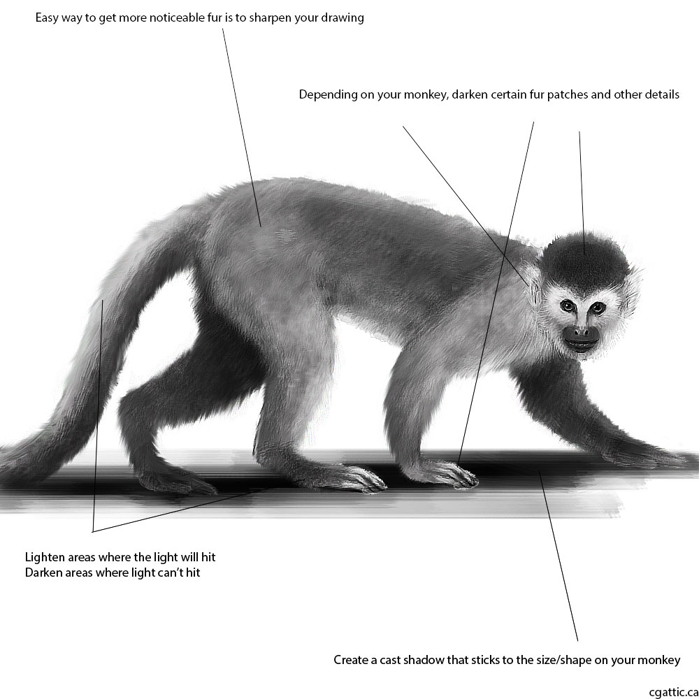 1000x1000 Realistic Monkey Drawing In Steps With Photoshop - Realistic Monkey Drawing