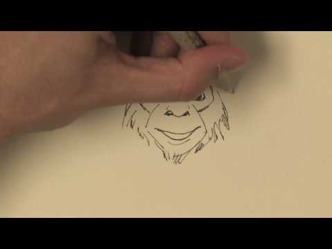 480x360 Drawing Illustration How To Draw A Real Monkey - Realistic Monkey Drawing