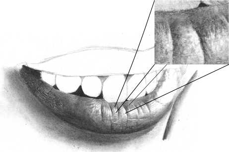 462x308 Huge Collection Of 'realistic Mouth Drawing' Download More Than - Realistic Mouth Drawing