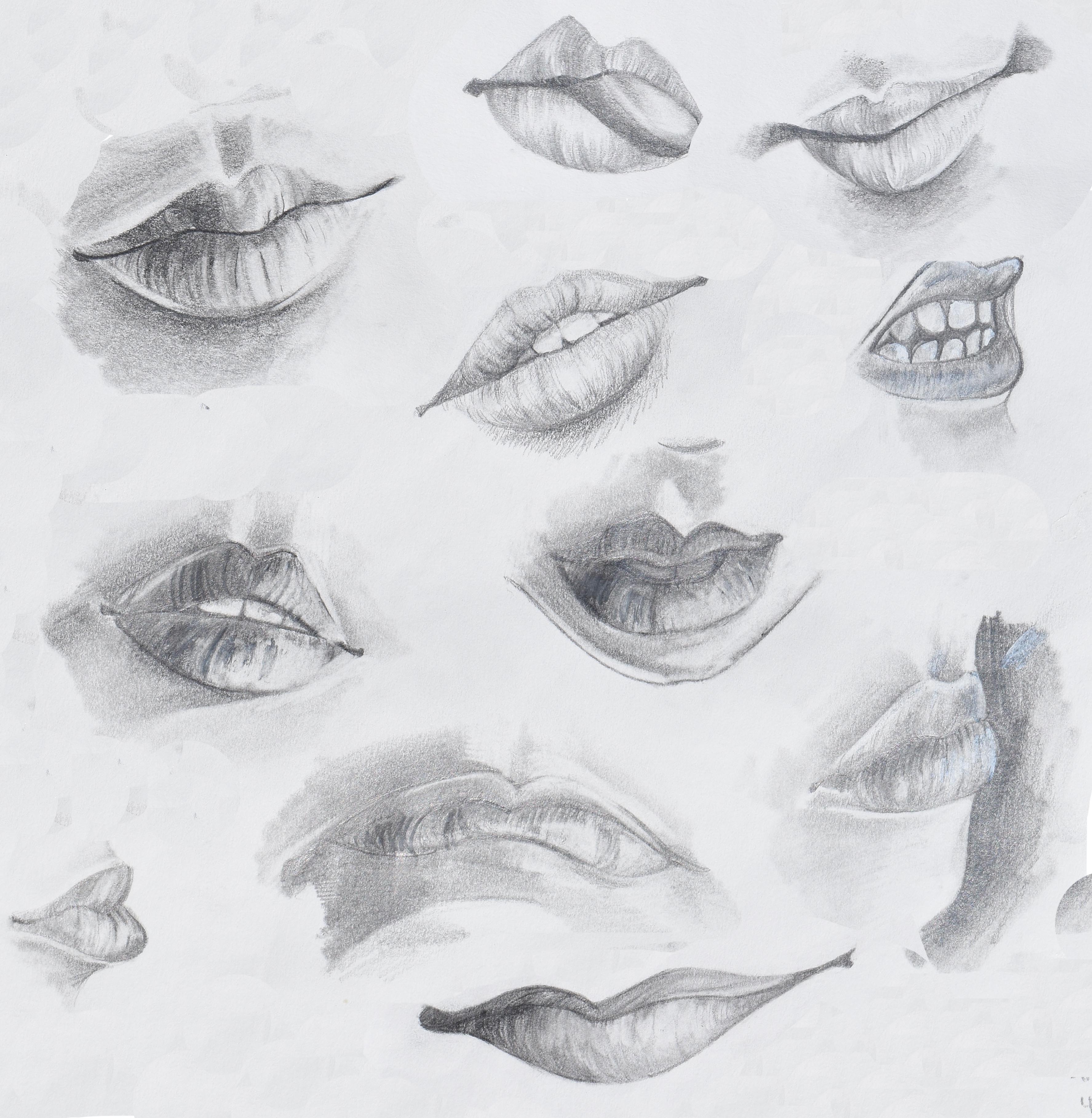 Realistic Mouth Drawing at Explore collection of