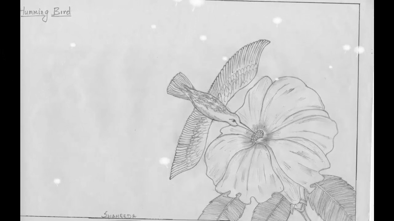 1280x720 Realistic Nature - Realistic Nature Drawing