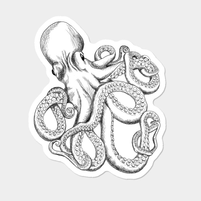 Álbumes 103 Imagen How To Draw A Realistic Octopus Lleno