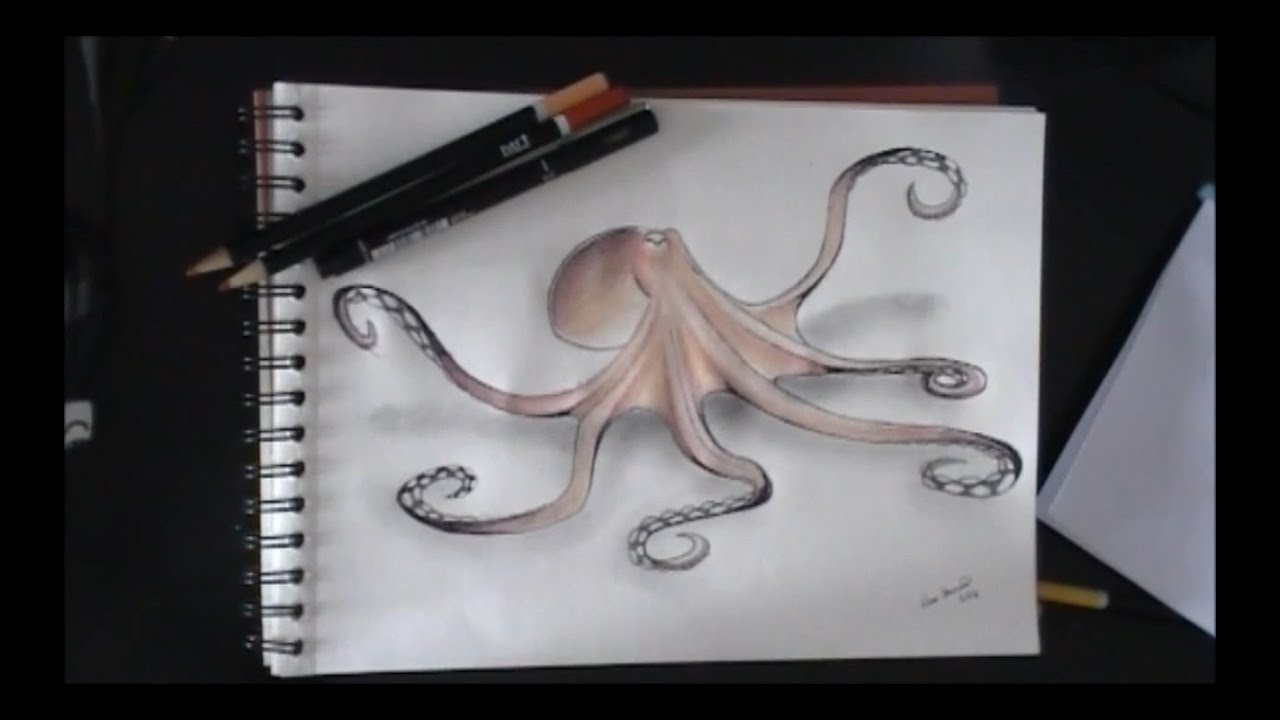 1280x720 Drawing An Octopus - Realistic Octopus Drawing