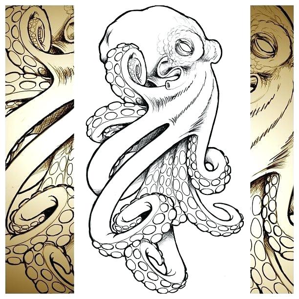 612x612 Drawn Octopus Realistic - Realistic Octopus Drawing