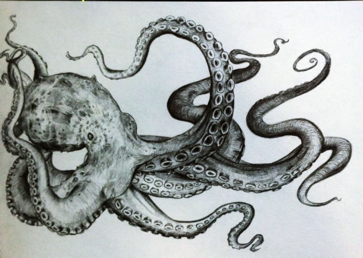Realistic Octopus Drawing at Explore collection of