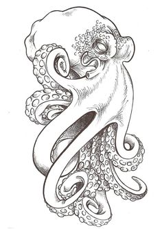 236x334 Octopus Drawing Free Download - Realistic Octopus Drawing