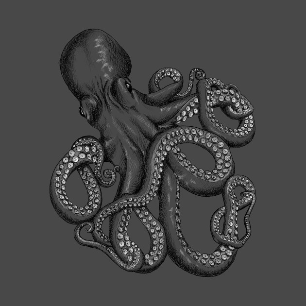 630x630 Realistic Octopus - Realistic Octopus Drawing