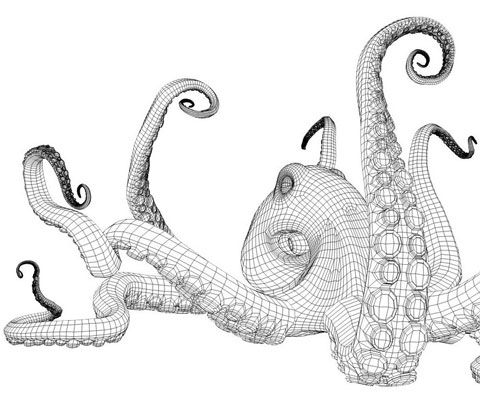 480x420 realistic octopus drawing early sketch for 'octopus', bernardo - Realistic Octopus Drawing