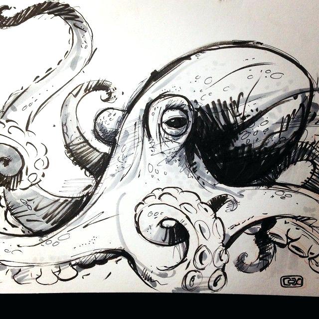 640x640 Realistic Octopus Drawing R Sketch Tattoo Leestudio - Realistic Octopus Drawing