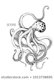 190x280 realistic octopus drawing new octopus stock s vectors pics - Realistic Octopus Drawing
