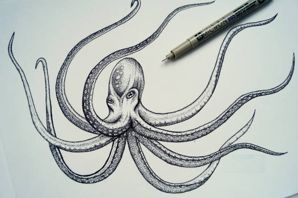 600x398 Octopus Drawings - Realistic Octopus Drawing