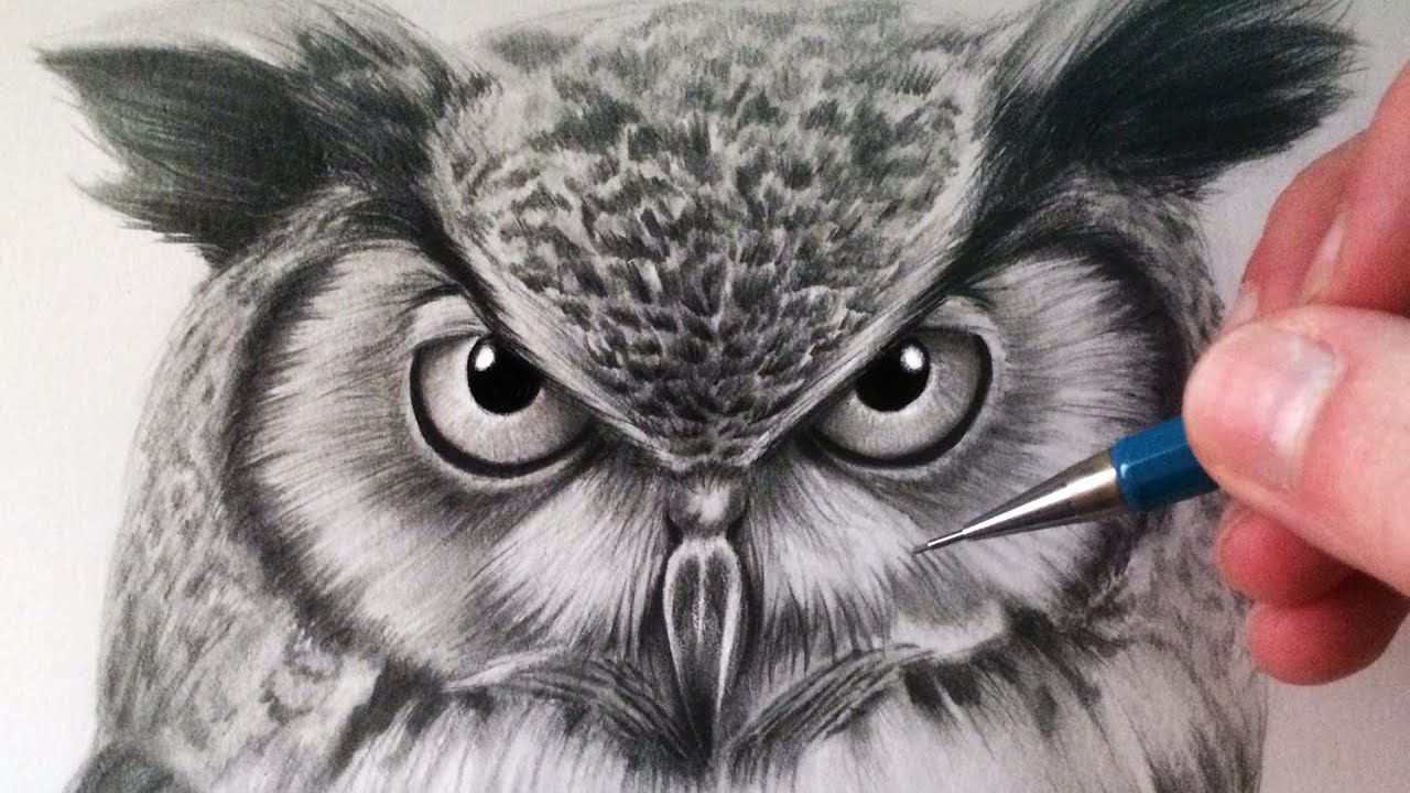 1280x720 How To Draw An Owl - Realistic Owl Drawing