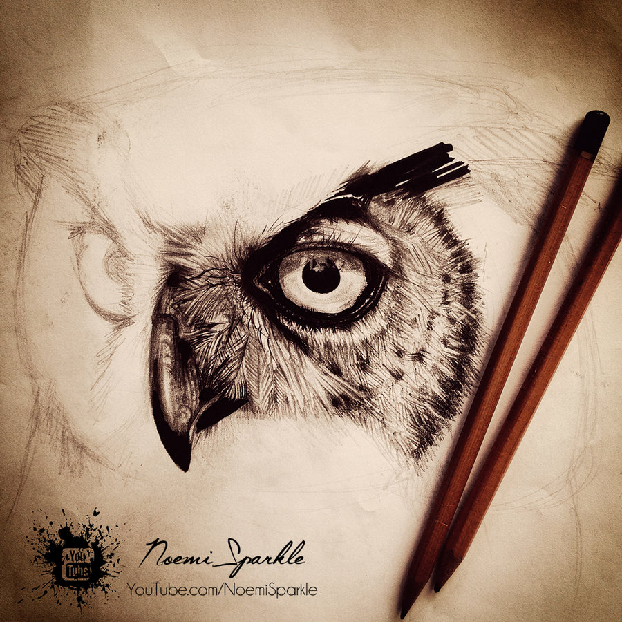 900x900 How To Draw A Realistic Owl - Realistic Owl Drawing