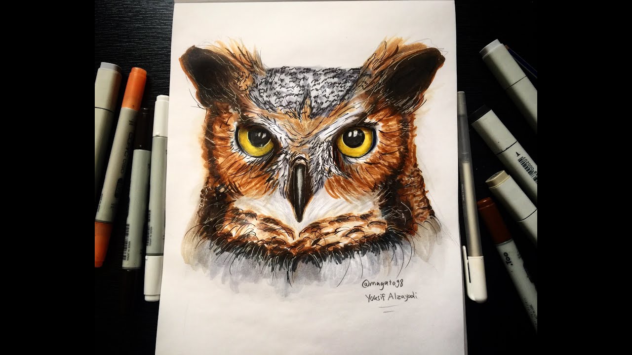 1280x720 Realistic Owl Drawing Magato - Realistic Owl Drawing