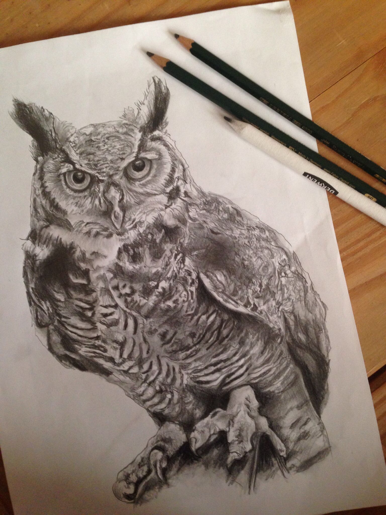 1536x2048 realistic owl drawing drawings drawings, saw whet owl, owl - Realistic Owl Drawing
