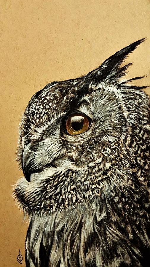 506x900 Owl Drawing - Realistic Owl Drawing