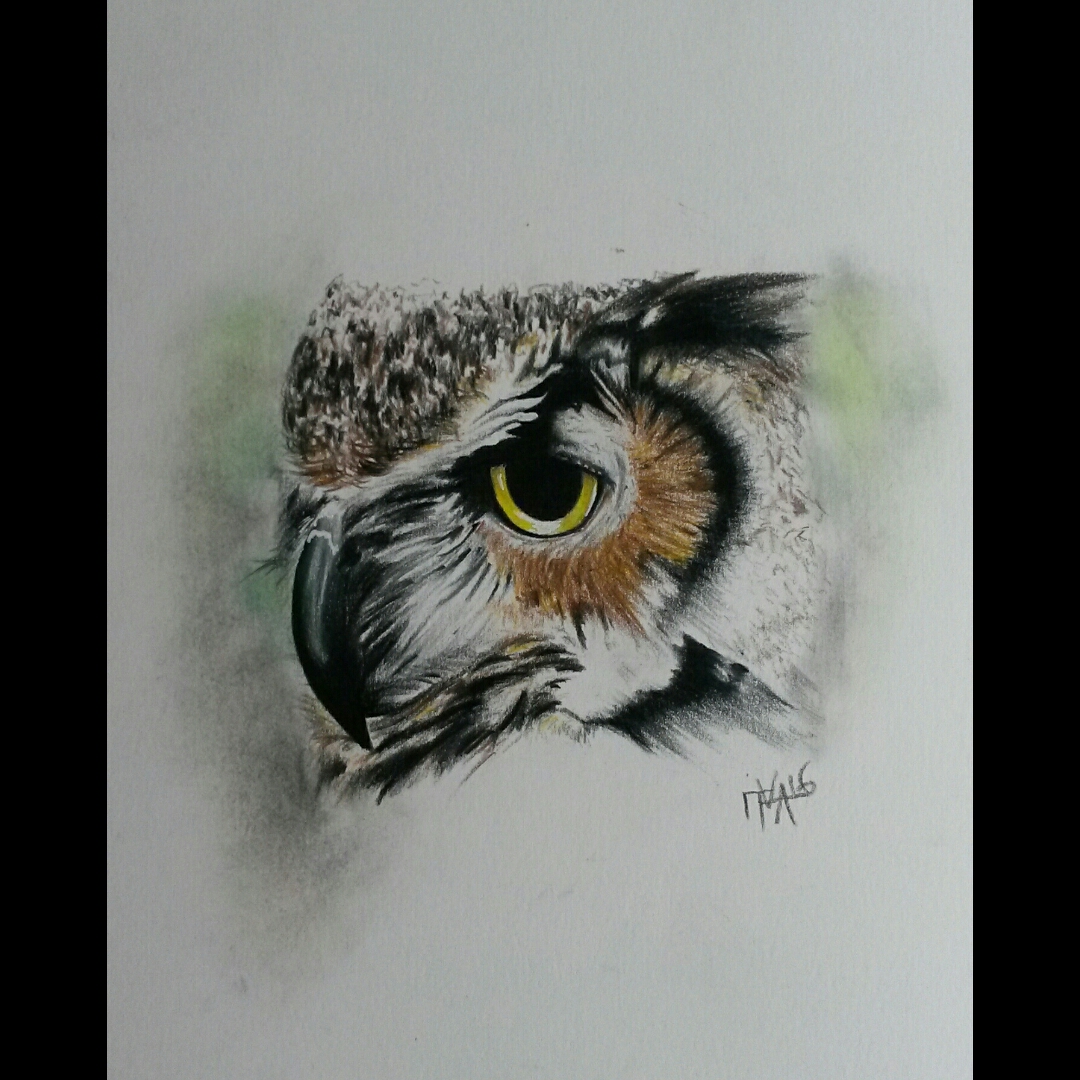1080x1080 realistic owl drawing i did a few months ago! tattoodo - Realistic Owl Drawing