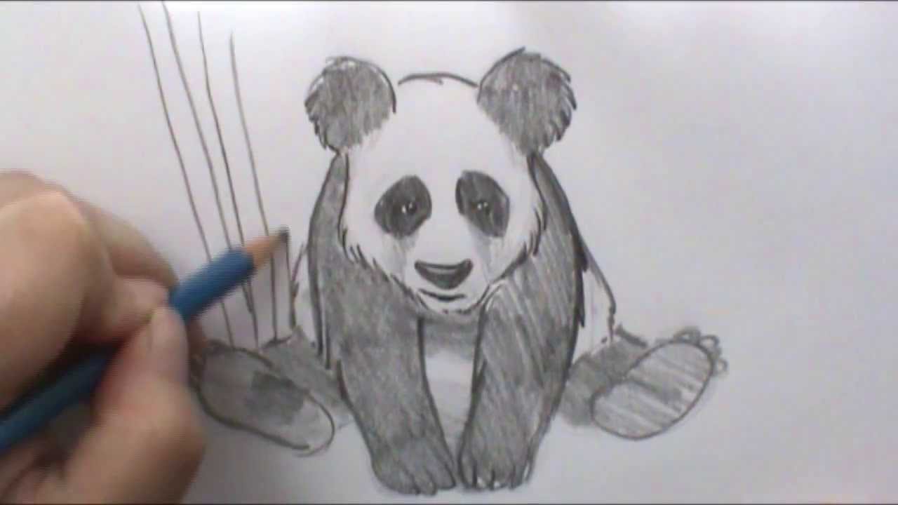 1280x720 How To Draw A Panda - Realistic Panda Drawing