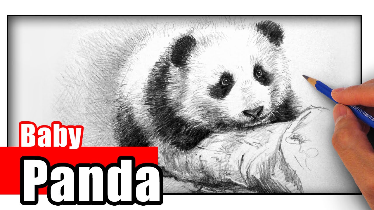 1280x720 How To Draw A Panda The Easy Way - Realistic Panda Drawing