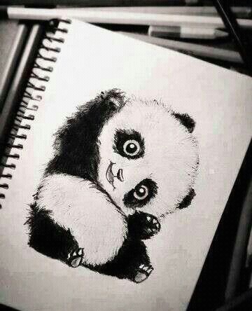 360x444 image about cute in draws - Realistic Panda Drawing
