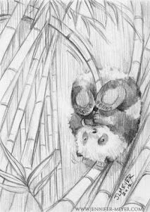 213x301 How To Draw A Realistic Panda Bear Eating Bamboo - Realistic Panda Drawing