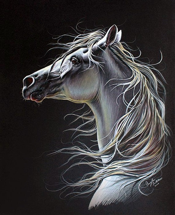 600x736 Realistic Animal Pencil Drawings - Realistic Pencil Drawings