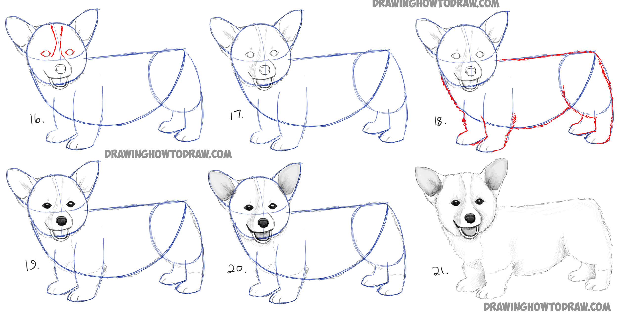 2500x1289 How To Draw A Corgi Puppy Easy Step - Realistic Puppy Drawing