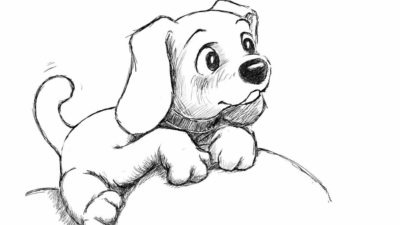 1280x720 How To Draw Puppy Step - Realistic Puppy Drawing