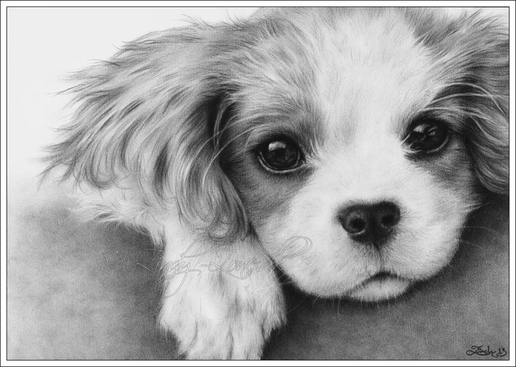 750x533 Image About Love In Cute - Realistic Puppy Drawing