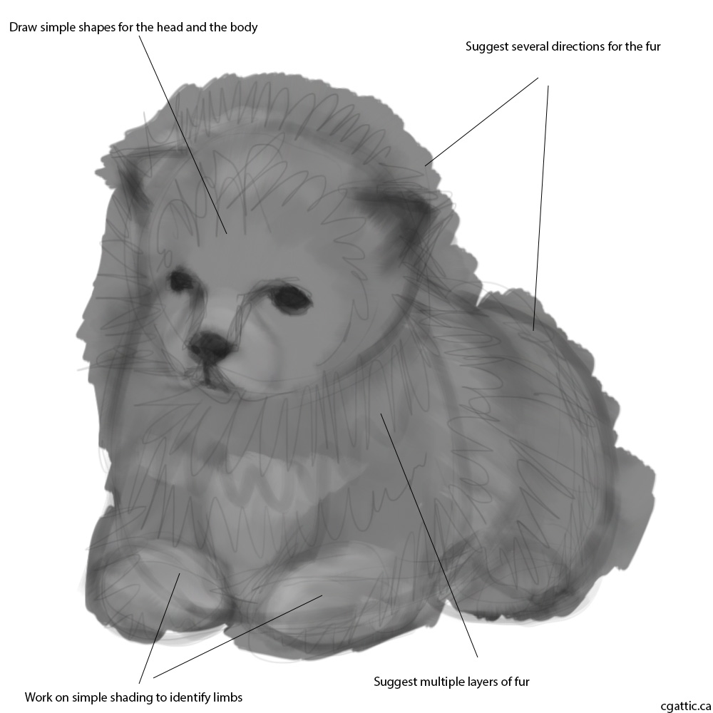 1000x1000 Realistic Puppy Drawing In Steps With Photoshop - Realistic Puppy Drawing