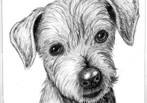 300x210 drawing cute realistic puppy drawing a dog puppy time lapse - Realistic Puppy Drawing