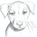 150x150 How To Draw Realistic Dogs And Puppies Archives - Realistic Puppy Drawing