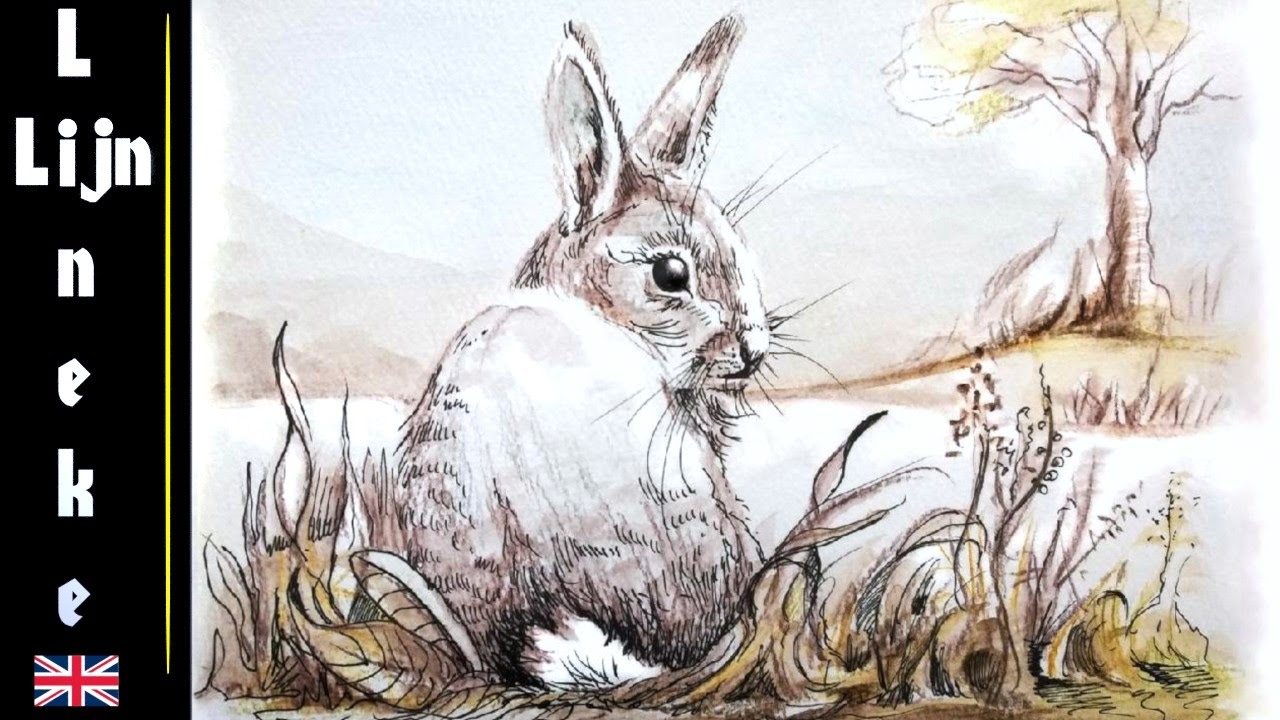 1280x720 Drawing A Realistic Rabbit Ink And Watercolor Pencils - Realistic Rabbit Drawing