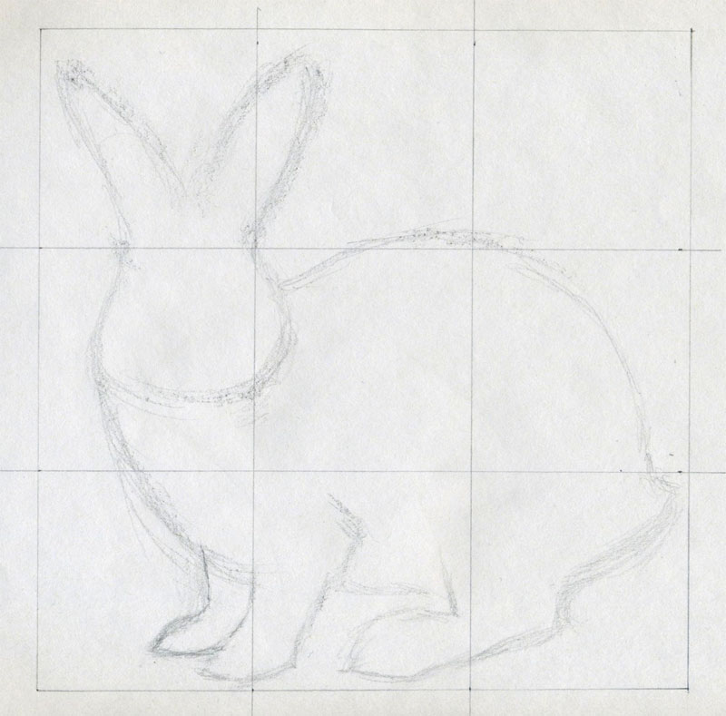 800x789 How To Draw A Rabbit - Realistic Rabbit Drawing