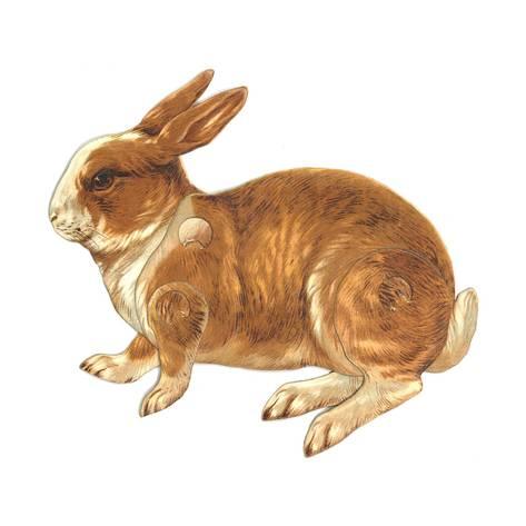 473x473 Realistic Rabbit Illustration Prints - Realistic Rabbit Drawing